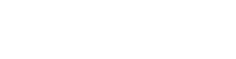 flytravelish-logo